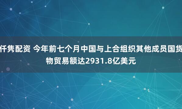 仟隽配资 今年前七个月中国与上合组织其他成员国货物贸易额达2931.8亿美元