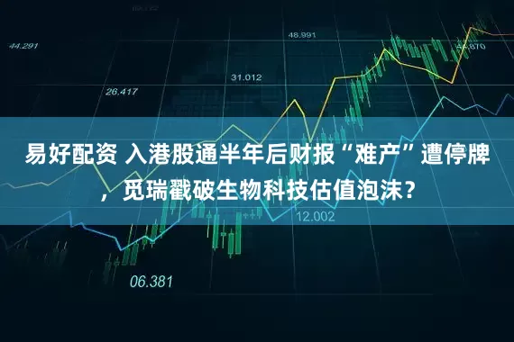 易好配资 入港股通半年后财报“难产”遭停牌，觅瑞戳破生物科技估值泡沫？